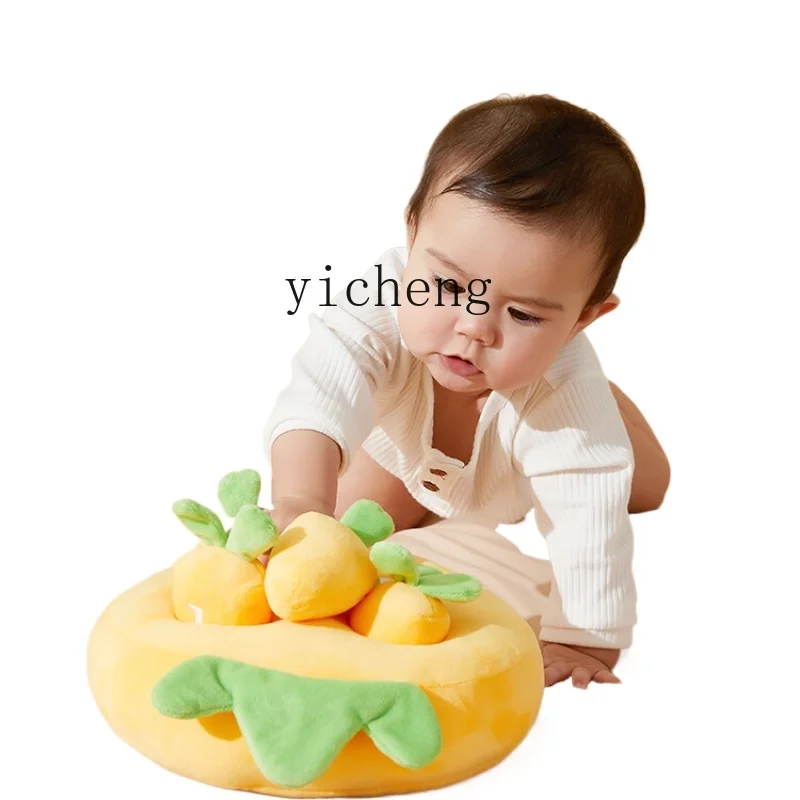 XL Pulling Radishes Toy Baby B - đánh giá và giá Baby Xl